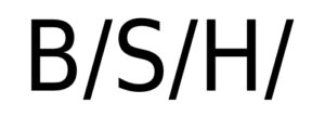 Obrázek ukazuje logo firmy BSH